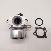 Radracing 495782 Carburetor Carb Kit fit for Briggs Stratton 495782 494894